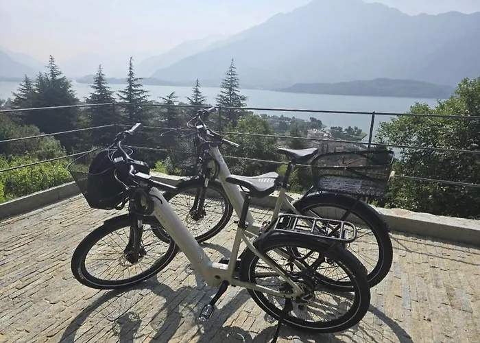 Perla Del * دومازو