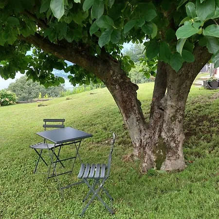 Apartman Perla Del *